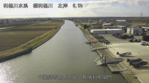 yoko2025122212_image