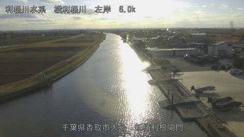 yoko2025122215_image