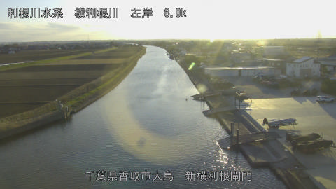 yoko2025122216_image