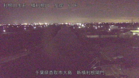 yoko2025122219_image