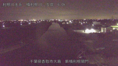 yoko2025122222_image