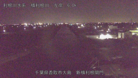 yoko2025122223_image