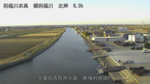 yoko2025122308_image