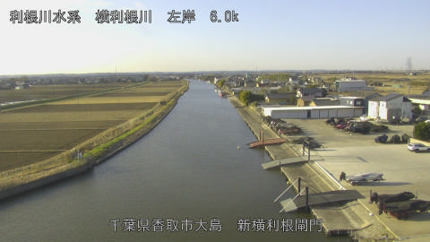 yoko2025122309_image