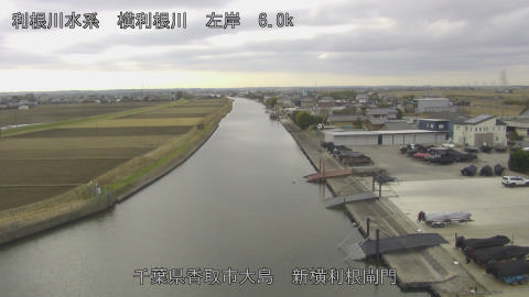 yoko2025122311_image