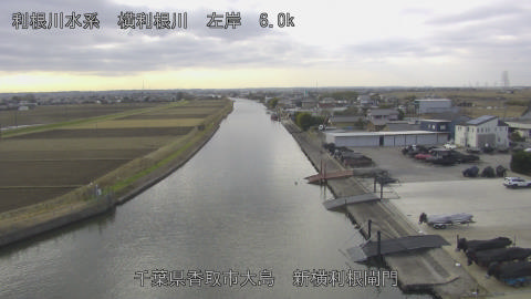 yoko2025122312_image