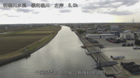 yoko2025122314_image