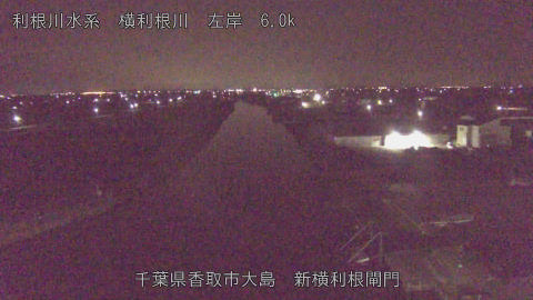 yoko2025122403_image