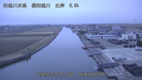 yoko2025122407_image