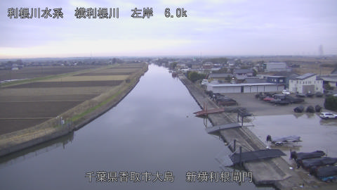 yoko2025122408_image