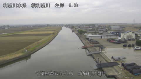 yoko2025122409_image