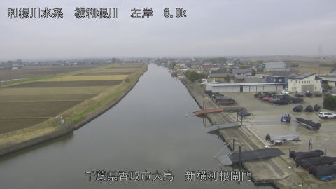 yoko2025122410_image