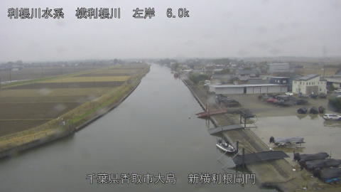 yoko2025122411_image