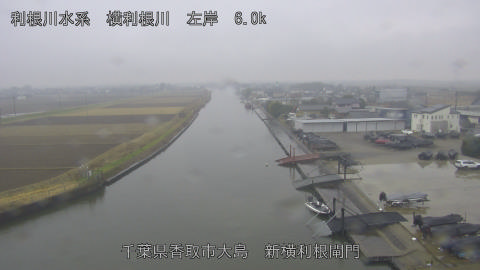 yoko2025122412_image