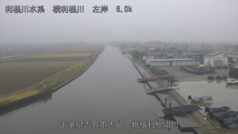 yoko2025122414_image