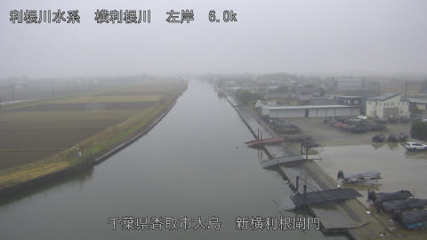 yoko2025122415_image