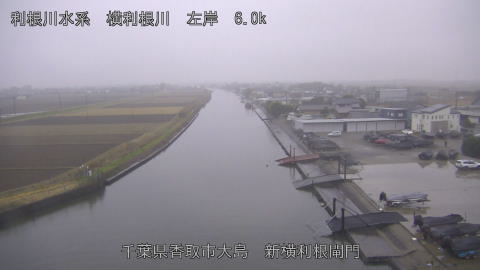 yoko2025122416_image