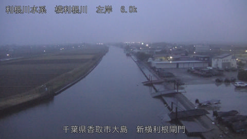 yoko2025122417_image