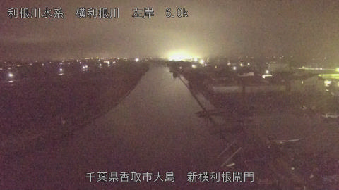 yoko2025122419_image