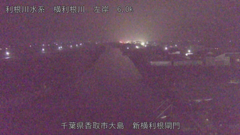 yoko2025122506_image