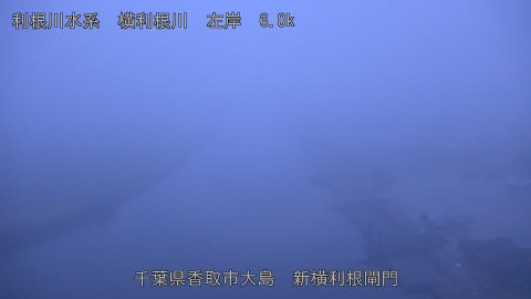 yoko2025122507_image