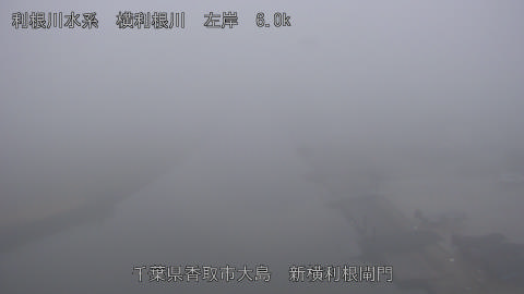 yoko2025122508_image