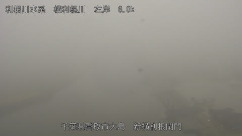 yoko2025122509_image