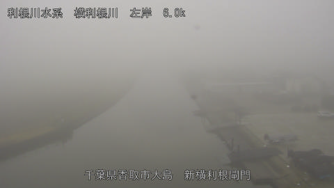 yoko2025122510_image