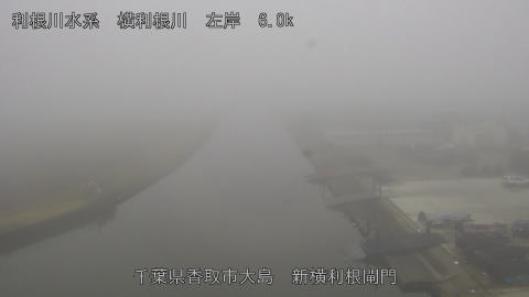 yoko2025122511_image