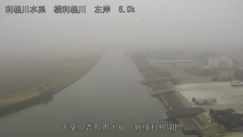 yoko2025122512_image