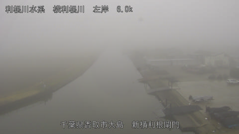 yoko2025122513_image