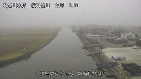 yoko2025122515_image