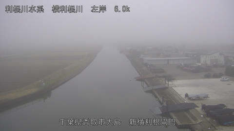 yoko2025122516_image