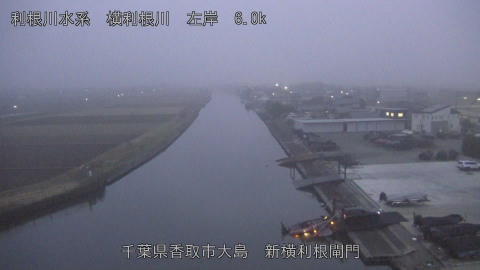 yoko2025122517_image