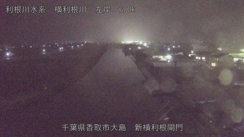 yoko2025122518_image