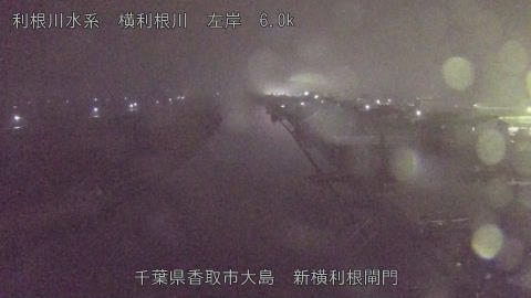 yoko2025122519_image