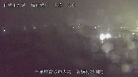 yoko2025122520_image