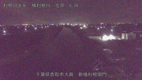 yoko2025122604_image