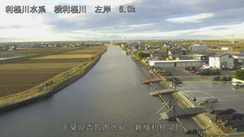 yoko2025122608_image