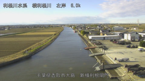 yoko2025122609_image