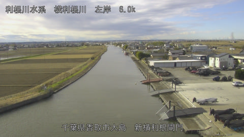 yoko2025122610_image