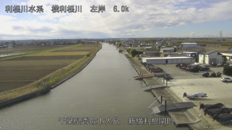 yoko2025122611_image