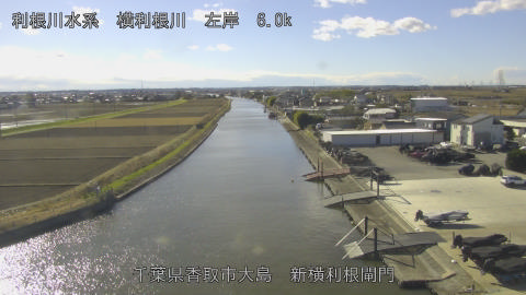 yoko2025122612_image