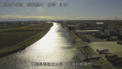 yoko2025122614_image