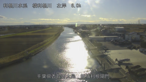 yoko2025122615_image