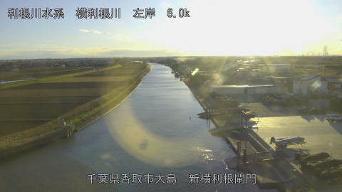 yoko2025122616_image