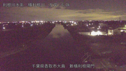 yoko2025122620_image