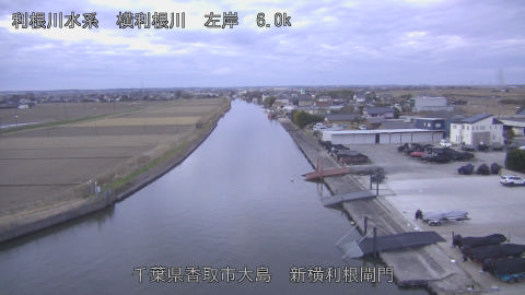 yoko2025122707_image