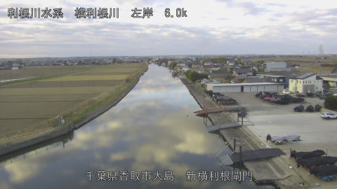 yoko2025122708_image