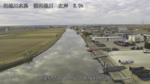 yoko2025122709_image